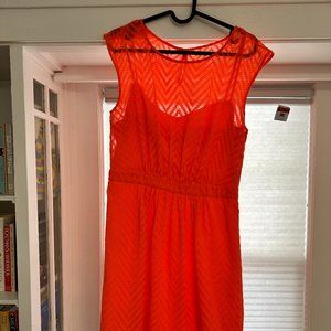 J.Crew Dress in Vibrant Orange